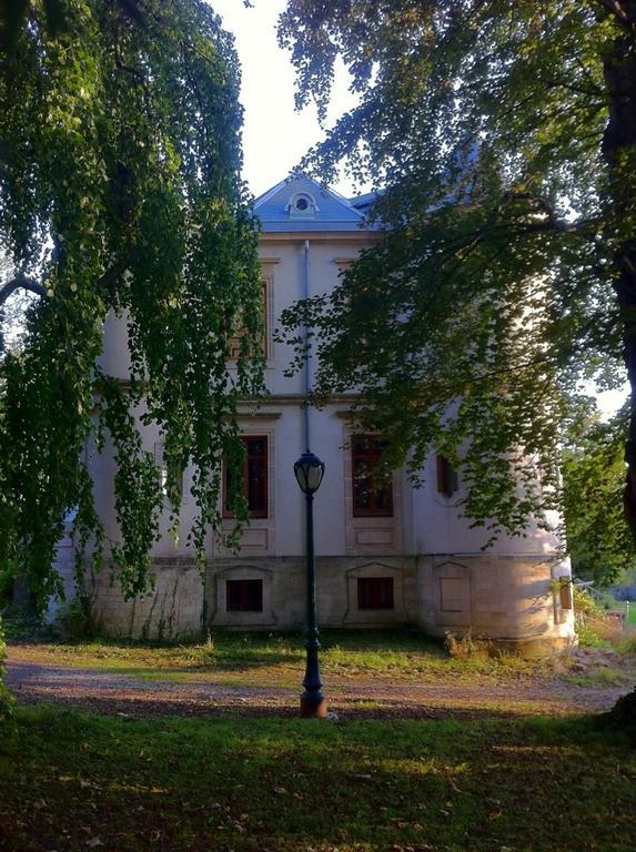 Le Chateau De Conde En Barrois Bed & Breakfast 部屋 写真
