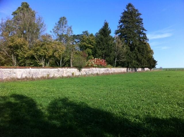 Le Chateau De Conde En Barrois Bed & Breakfast エクステリア 写真